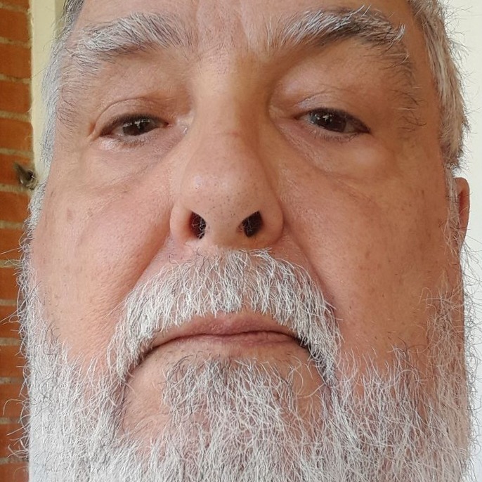 Nelson Luiz T. Barros Moraes