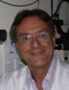 Reinaldo de Oliveira Sieiro Reinaldo de Oliveira Sieiro