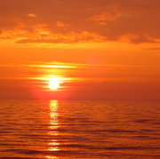 Andr Desgualdo Pereira