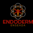 Endoderm Enseada Endoderm Enseada
