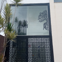 Instituto AMI