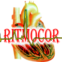 Ritmocor : Ritmos do Coração Ritmocor : Ritmos do Coração