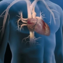 Cardioclínica Cardioclínica