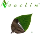Neoclin Dermatologia