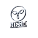 Nesm - Ncleo de excelncia em sade da mulher