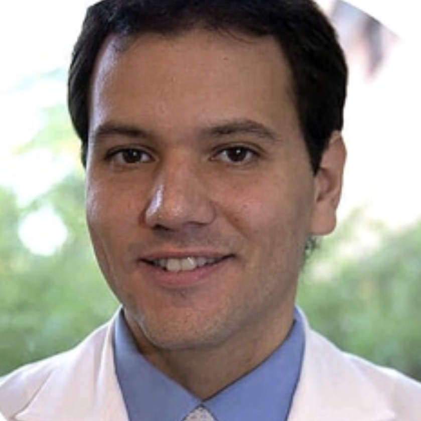 André Hahn Magarinos Torres André Hahn Magarinos Torres