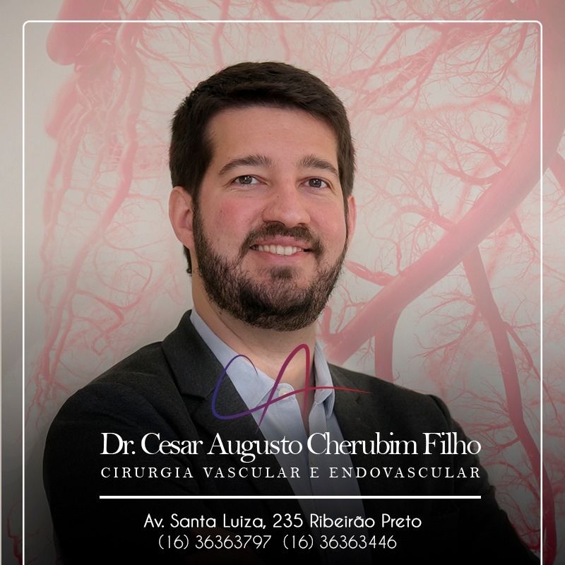 Cesar Augusto Cherubim Filho Cesar Augusto Cherubim Filho