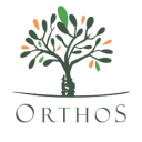 Clnica Orthos