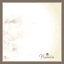 Physalis Physalis
