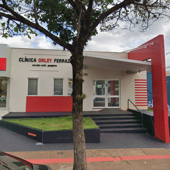 Cl�nica Orley Ferraz