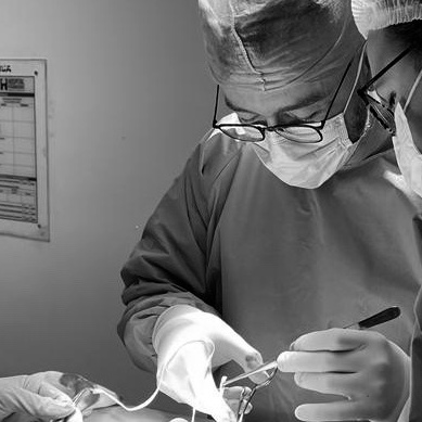 Giovani José Dal Poggetto Molinari Giovani José Dal Poggetto Molinari