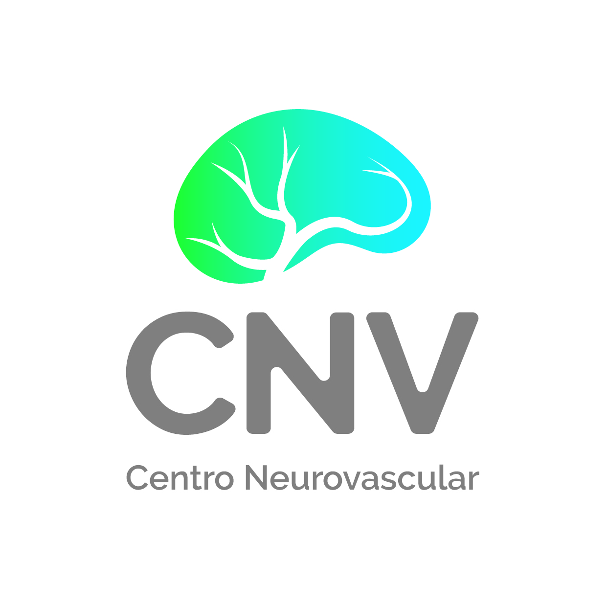 CNV-Centro Neurovascular CNV-Centro Neurovascular