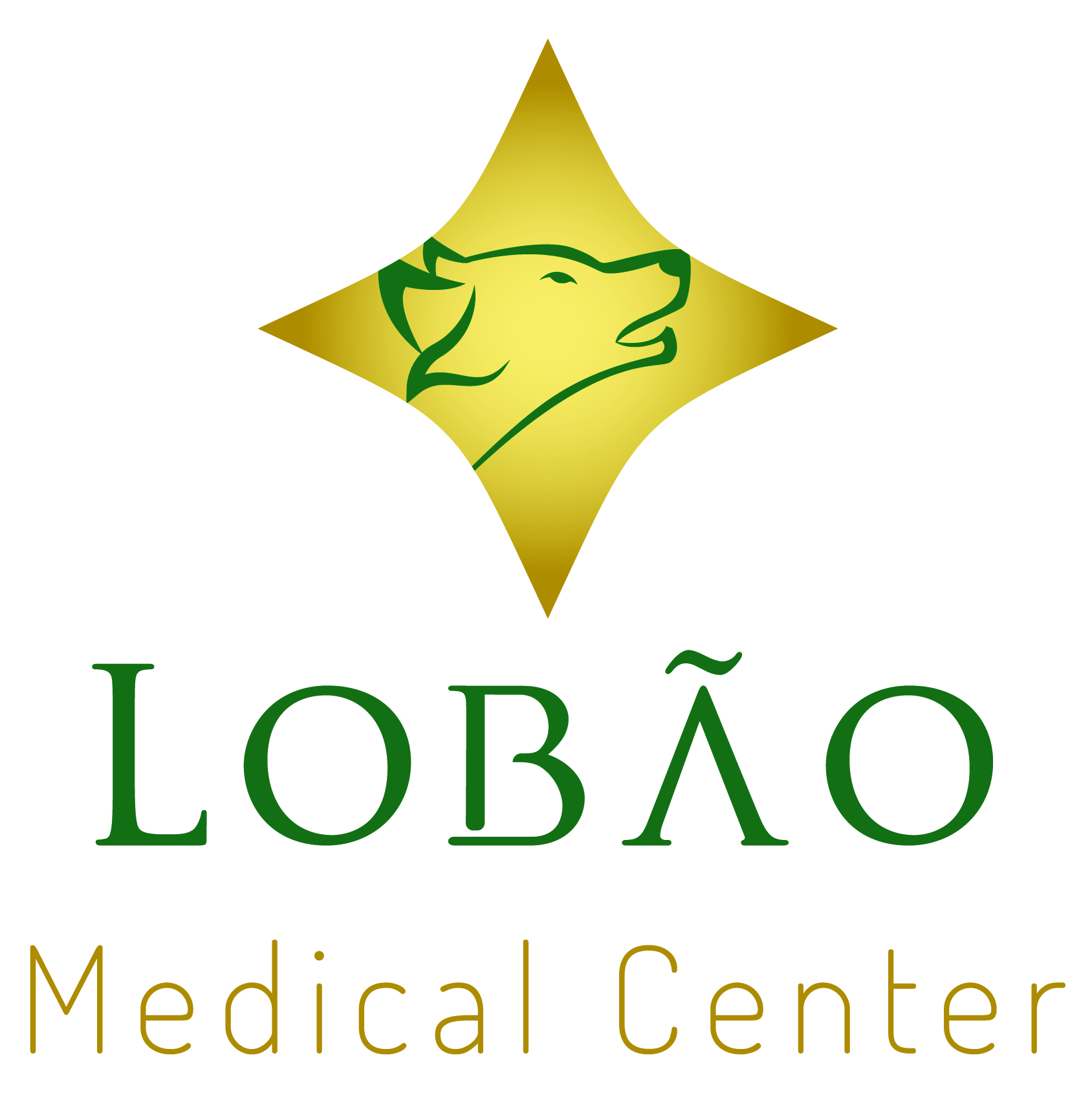 Lobão Medical Center Lobão Medical Center