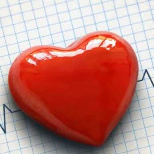 Renan Macedo Coimbra Renan Macedo Coimbra