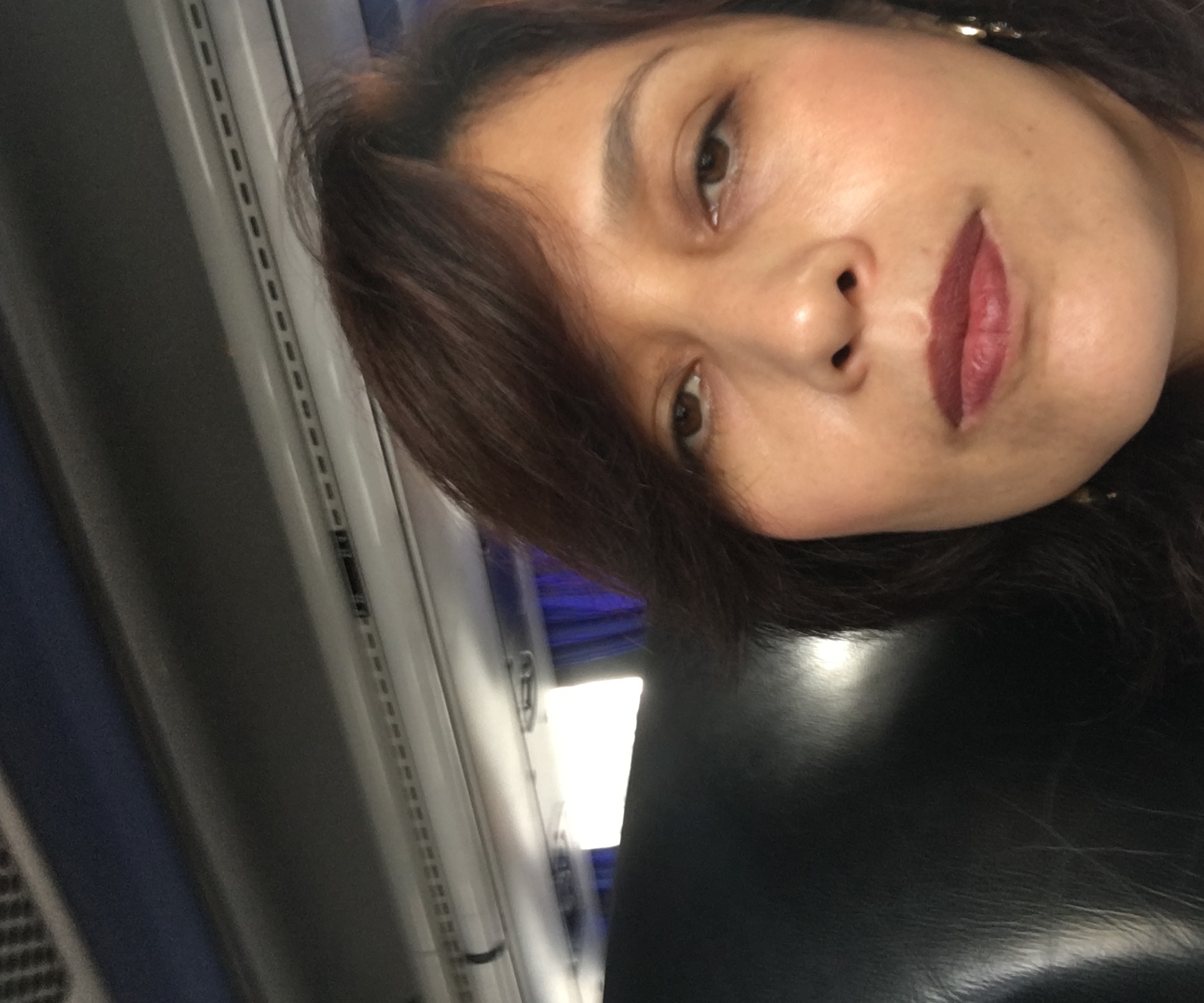 Luz A. Guevara Silva Luz A. Guevara Silva