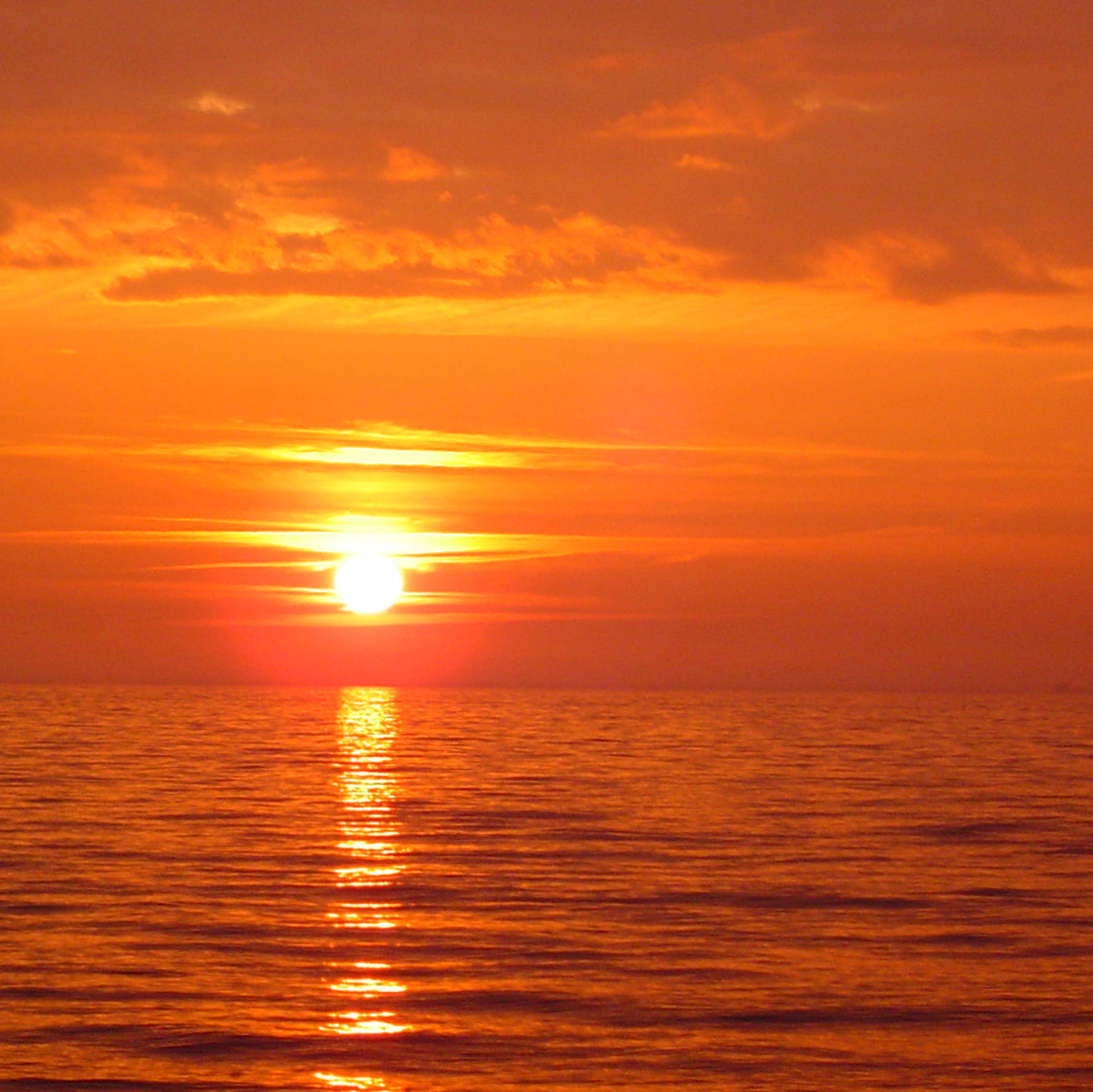 André Desgualdo Pereira André Desgualdo Pereira