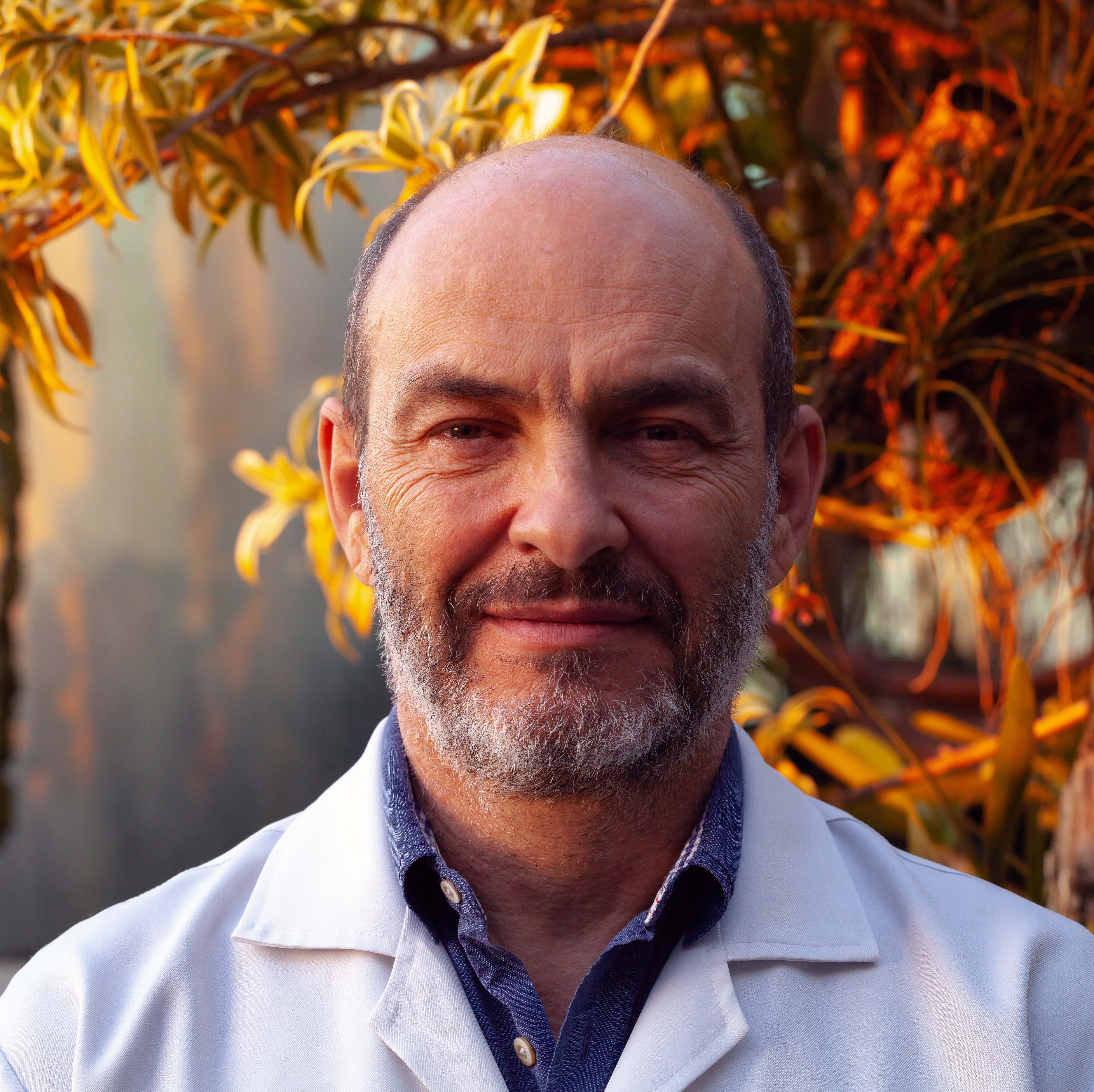 Dalton Nogueira Moreira Dalton Nogueira Moreira