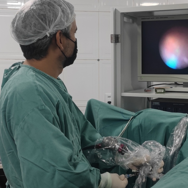 Raul Emival Pessoa Arantes Raul Emival Pessoa Arantes