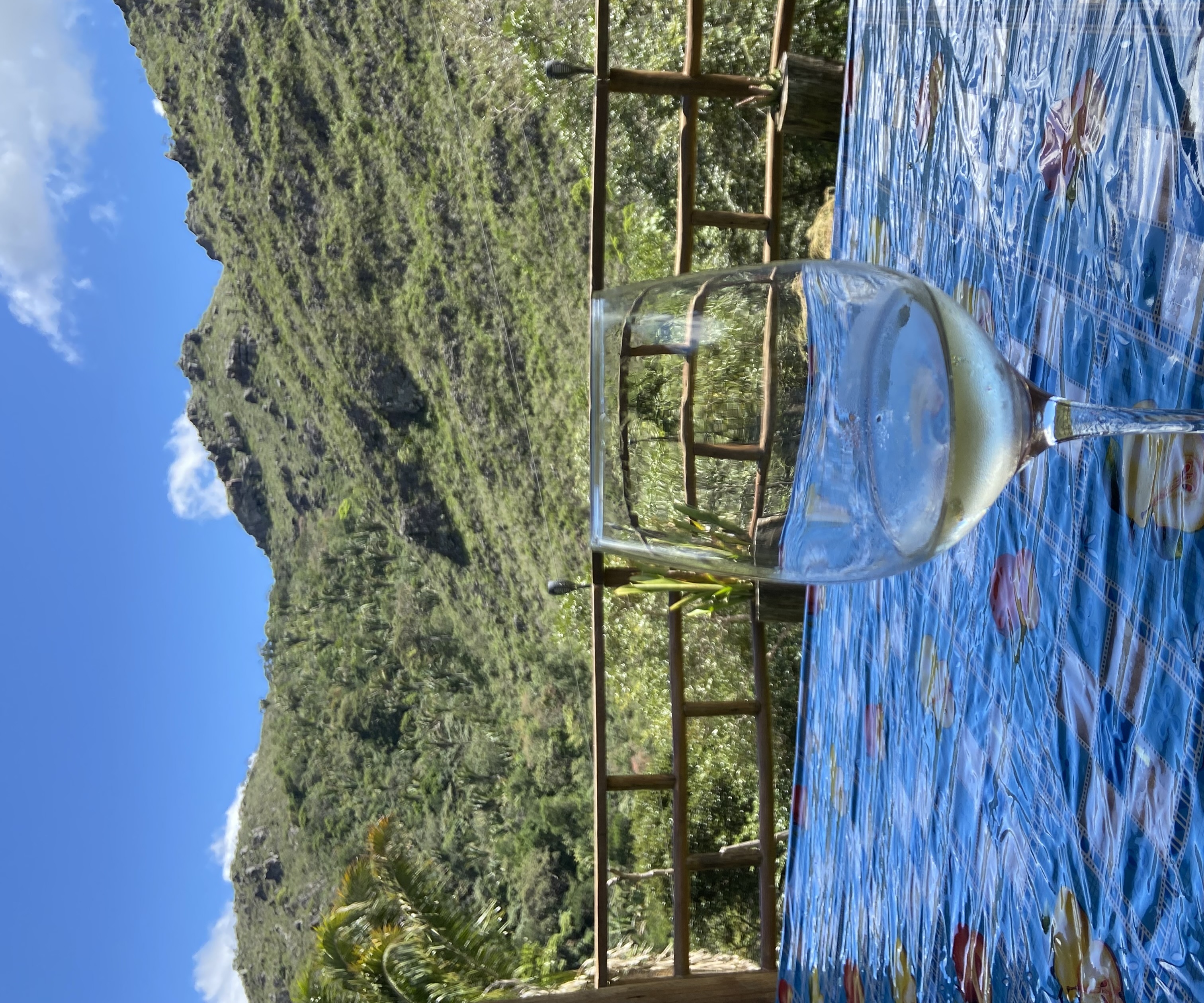 Luiz Felipe Luiz Felipe