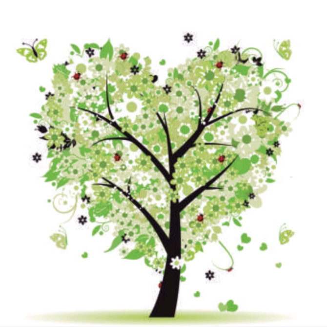 Kind Care Especialidades Peditricas